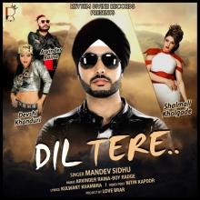Dil Tere