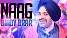 Bindy Brar - Naag