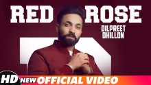Red Rose - Dilpreet Dhillon